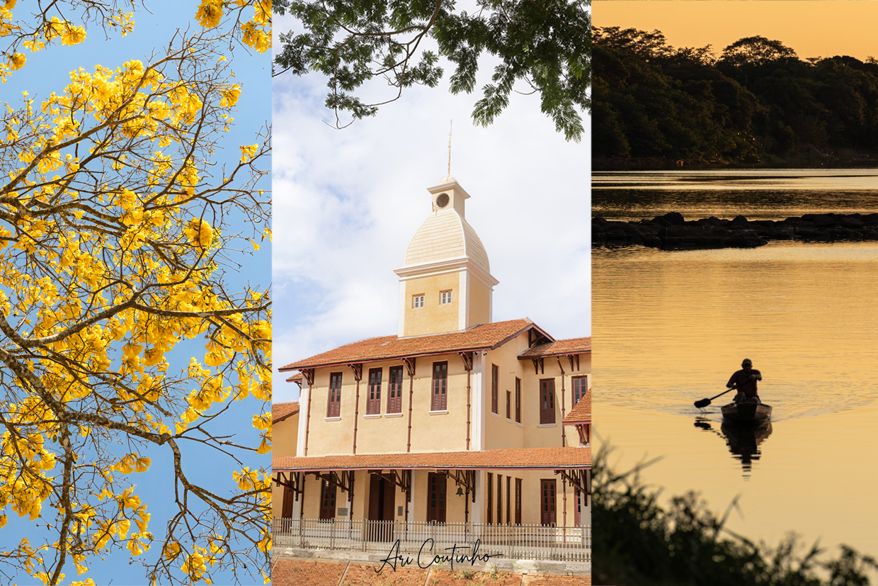 Montagem com três fotografias representando paisagens e elementos icônicos de Teresina, Piauí. À esquerda, um ipê-amarelo florido em contraste com o céu azul. Ao centro, a histórica Estação Ferroviária Engenheiro Sarafim, com sua arquitetura marcante e torre branca sob céu parcialmente nublado. À direita, um pescador solitário em uma canoa no Rio Poti ao entardecer, com reflexos dourados na água e silhueta de árvores ao fundo, no bairro Poty Velho.